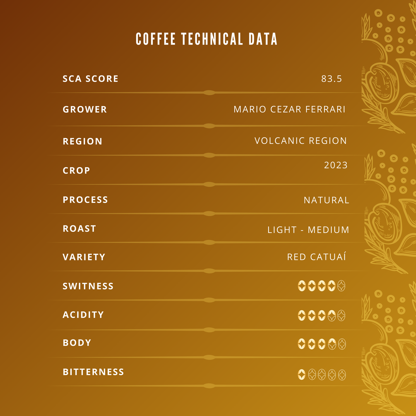*PEABERRY* | CARAMEL & SPICES | LIMITED EDITION