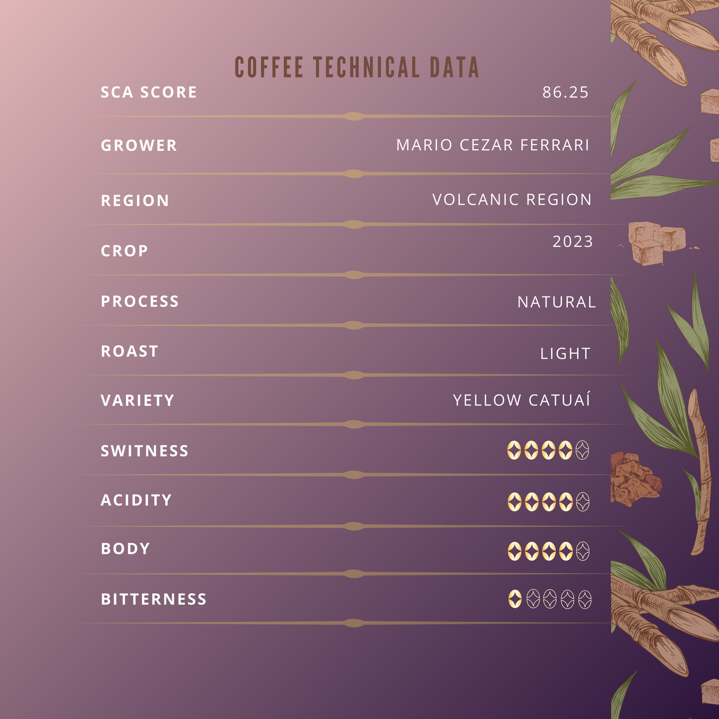 *MICROLOT* | SUGAR CANE MOLASSES & DRY FRUITS | LIMITED EDITION