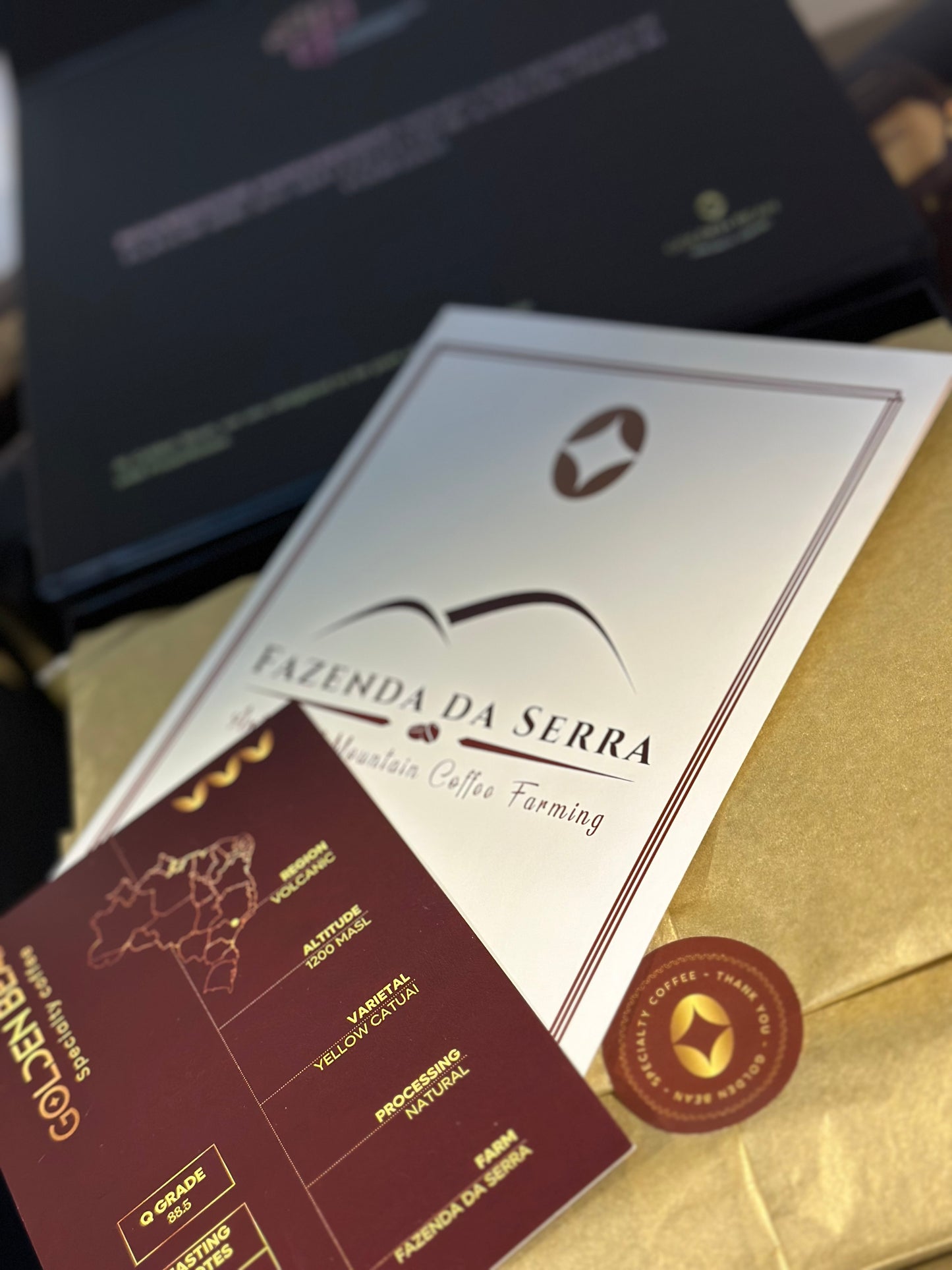Golden Gift Kit